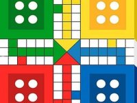 Ludo Online Game