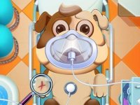 Animal Daycare Online Game