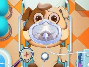 Animal Daycare Online Game
