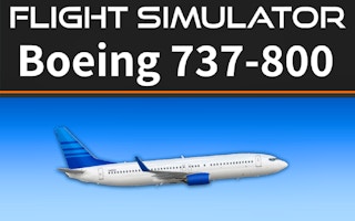 Flight Simulator 737-800: Realistic Cockpit Experience