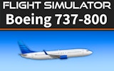 Flight Simulator 737-800: Realistic Cockpit Experience
