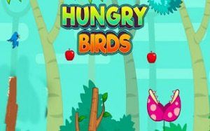 Fruit Bird Sky Adventure